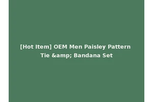 [Hot Item] OEM Men Paisley Pattern Tie &amp; Bandana Set