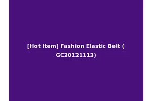 [Hot Item] Fashion Elastic Belt (GC20121113)