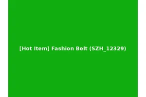 [Hot Item] Fashion Belt (SZH_12329)
