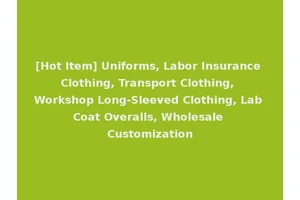 [Hot Item] Uniforms, Labor Insurance Clothing, Transport Clothing, Workshop Long-Sleeved Clothing, Lab Coat Overalls, Wholesale Customization