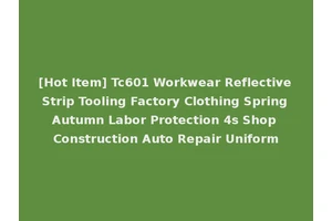 [Hot Item] Tc601 Workwear Reflective Strip Tooling Factory Clothing Spring Autumn Labor Protection 4s Shop Construction Auto Repair Uniform