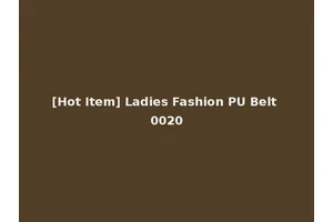 [Hot Item] Ladies Fashion PU Belt 0020