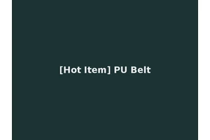 [Hot Item] PU Belt