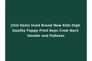 [Hot Item] Used Brand New Kids High Quality Puppy Print Boys Crew Neck Hoodie and Pullover
