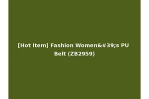 [Hot Item] Fashion Women's PU Belt (ZB2959)