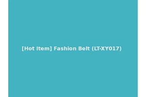 [Hot Item] Fashion Belt (LT-XY017)