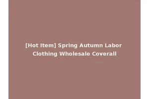 [Hot Item] Spring Autumn Labor Clothing Wholesale Coverall
