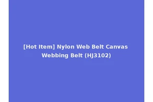 [Hot Item] Nylon Web Belt Canvas Webbing Belt (HJ3102)
