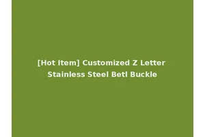 [Hot Item] Customized Z Letter Stainless Steel Betl Buckle