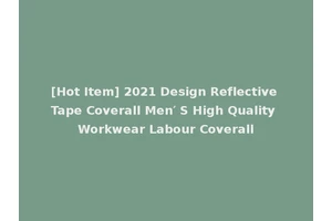 [Hot Item] 2021 Design Reflective Tape Coverall Men′ S High Quality Workwear Labour Coverall