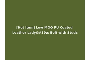[Hot Item] Low MOQ PU Coated Leather Lady's Belt with Studs