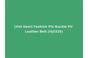 [Hot Item] Fashion Pin Buckle PU Leather Belt (HJ0225)