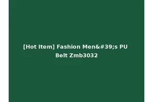[Hot Item] Fashion Men's PU Belt Zmb3032