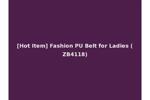 [Hot Item] Fashion PU Belt for Ladies (ZB4118)