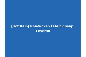 [Hot Item] Non-Woven Fabric Cheap Coverall