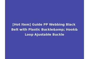 [Hot Item] Guide PP Webbing Black Belt with Plastic Buckle&amp; Hook&Loop Ajustable Buckle