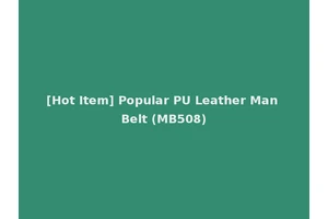 [Hot Item] Popular PU Leather Man Belt (MB508)