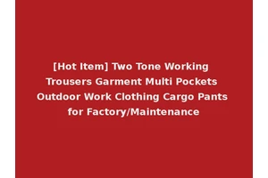 [Hot Item] Two Tone Working Trousers Garment Multi Pockets Outdoor Work Clothing Cargo Pants for Factory/Maintenance