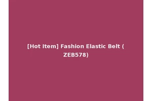 [Hot Item] Fashion Elastic Belt (ZEB578)
