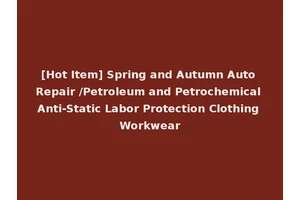 [Hot Item] Spring and Autumn Auto Repair /Petroleum and Petrochemical Anti-Static Labor Protection Clothing Workwear