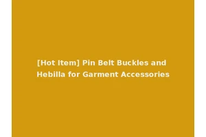 [Hot Item] Pin Belt Buckles and Hebilla for Garment Accessories