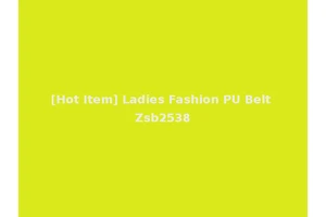 [Hot Item] Ladies Fashion PU Belt Zsb2538
