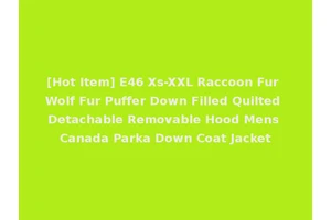 [Hot Item] E46 Xs-XXL Raccoon Fur Wolf Fur Puffer Down Filled Quilted Detachable Removable Hood Mens Canada Parka Down Coat Jacket