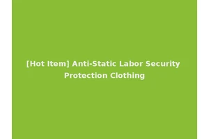 [Hot Item] Anti-Static Labor Security Protection Clothing