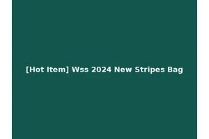 [Hot Item] Wss 2024 New Stripes Bag