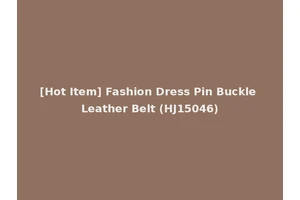 [Hot Item] Fashion Dress Pin Buckle Leather Belt (HJ15046)