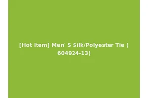 [Hot Item] Men′ S Silk/Polyester Tie (604924-13)