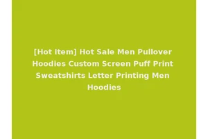 [Hot Item] Hot Sale Men Pullover Hoodies Custom Screen Puff Print Sweatshirts Letter Printing Men Hoodies