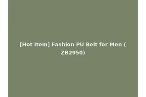 [Hot Item] Fashion PU Belt for Men (ZB2950)
