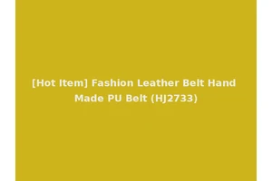 [Hot Item] Fashion Leather Belt Hand Made PU Belt (HJ2733)