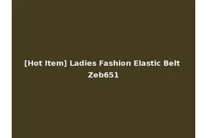[Hot Item] Ladies Fashion Elastic Belt Zeb651