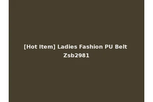 [Hot Item] Ladies Fashion PU Belt Zsb2981
