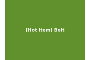 [Hot Item] Belt