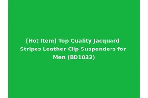 [Hot Item] Top Quality Jacquard Stripes Leather Clip Suspenders for Men (BD1032)