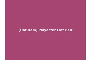[Hot Item] Polyester Flat Belt
