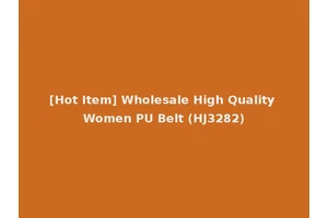 [Hot Item] Wholesale High Quality Women PU Belt (HJ3282)