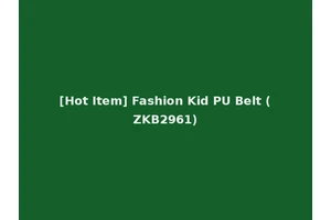 [Hot Item] Fashion Kid PU Belt (ZKB2961)