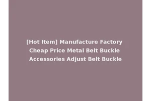 [Hot Item] Manufacture Factory Cheap Price Metal Belt Buckle Accessories Adjust Belt Buckle