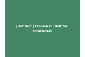 [Hot Item] Fashion PU Belt for Menzb2445