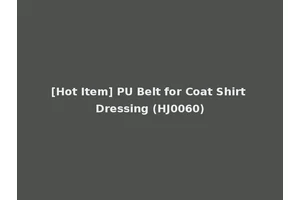 [Hot Item] PU Belt for Coat Shirt Dressing (HJ0060)