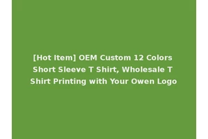 [Hot Item] OEM Custom 12 Colors Short Sleeve T Shirt, Wholesale T Shirt Printing with Your Owen Logo