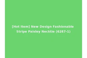 [Hot Item] New Design Fashionable Stripe Paisley Necktie (6287-1)