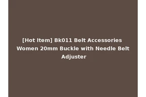 [Hot Item] Bk011 Belt Accessories Women 20mm Buckle with Needle Belt Adjuster