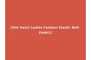[Hot Item] Ladies Fashion Elastic Belt Zeb611