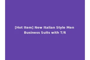 [Hot Item] New Italian Style Men Business Suits with T/R