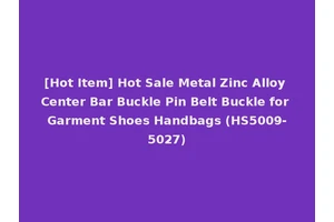 [Hot Item] Hot Sale Metal Zinc Alloy Center Bar Buckle Pin Belt Buckle for Garment Shoes Handbags (HS5009-5027)